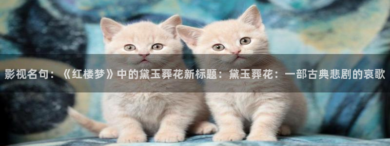 建军大业 电影天堂
