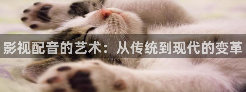 av天堂大片