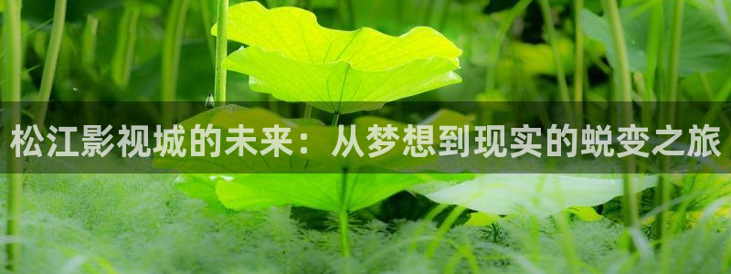 看看电影天堂