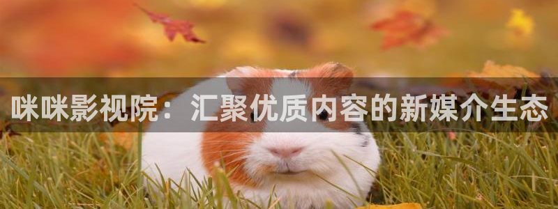 电影天堂伦理401